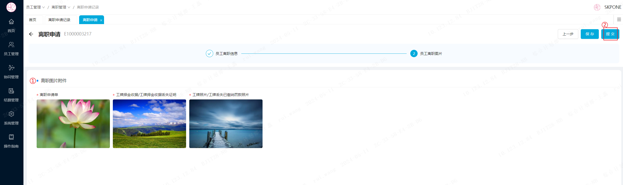 image-20240511135053176