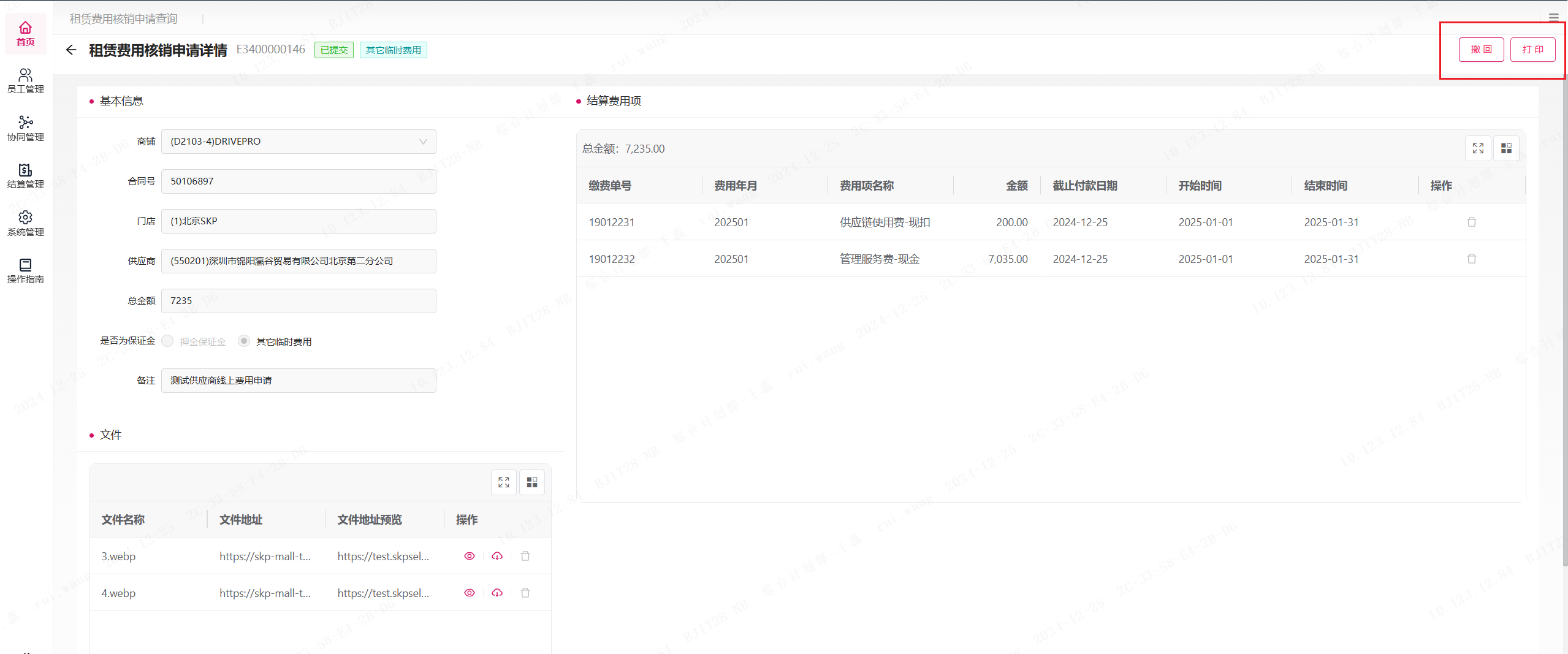 image-20241225165129252